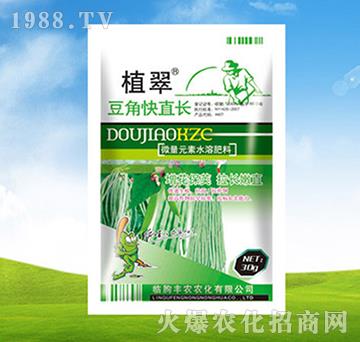 豆角快直長-植翠-豐農農化