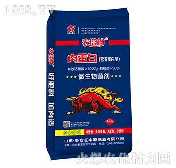 肉蛋白（營(yíng)養(yǎng)蛋白型）-農(nóng)搭檔-巨豐源