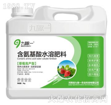 草莓高產(chǎn)型含氨基酸水溶肥料-九稼一