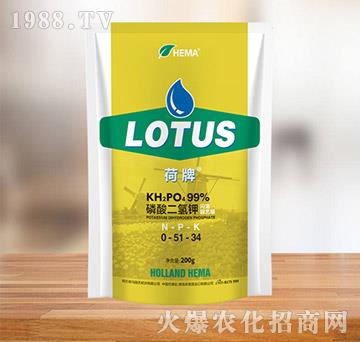 閃溶園藝級磷酸二氫鉀0-51-34-荷牌-矯馬生物