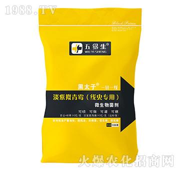 線蟲(chóng)專(zhuān)用淡紫擬青霉-黑太子-五易生