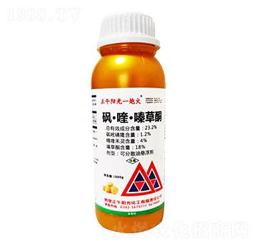 1000g砜·喹·嗪草酮-正午陽光一炮火