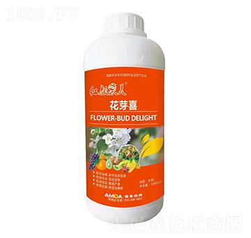 花芽喜-紅顏果美-阿姆達(dá)