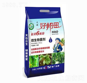 枯黃6預(yù)防 好邦田 天碩
