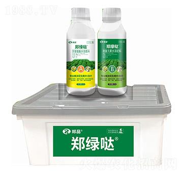 鄭綠噠 鄭品