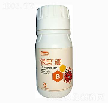 銀果硼-鼎微生物