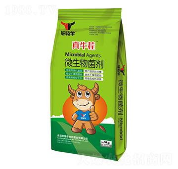 微生物菌劑-真牛茬-軒轅牛
