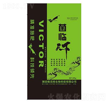菌臨天下-維克特