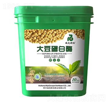 大豆蛋白酶-瑞克斯旺