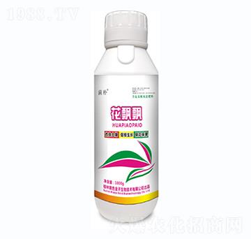 花飄飄-菌補(bǔ)-黑色金子