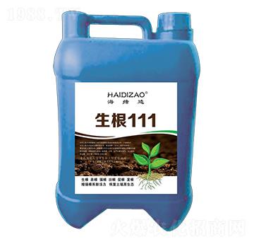 生根111-海巨人