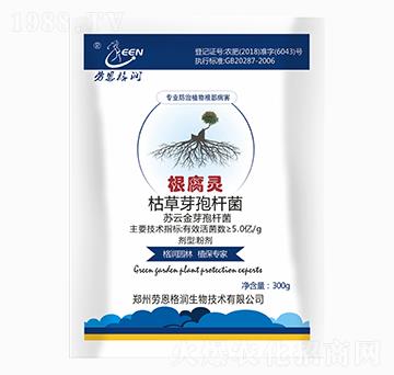根腐靈-勞恩格潤