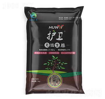 護(hù)衛(wèi)·無(wú)線(xiàn)生根-海綠王