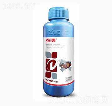 10%聯(lián)苯·噻蟲胺-在勇-一田生物