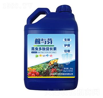 昆蟲(chóng)多肽促長(zhǎng)素-根與芽-新龍生物