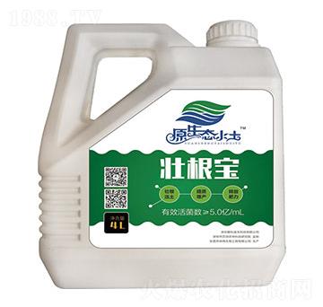 壯根寶-愛(ài)科沃土