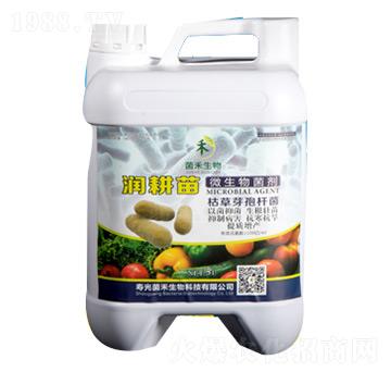 潤(rùn)耕苗枯草芽孢桿菌-菌禾生物