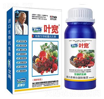 果樹(shù)專用葉面肥-多糖生物酶誘抗肽-葉寬-圣博爾生物