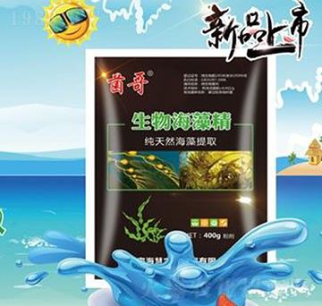 生物海藻精-?；? width=