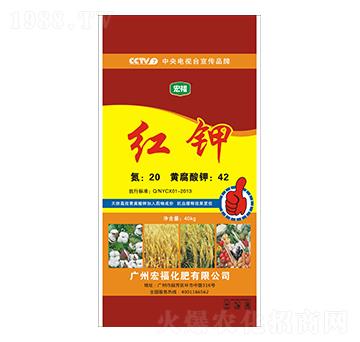 紅鉀-宏?；? />
                                </div>
                            </div>
                            
                            <style type=