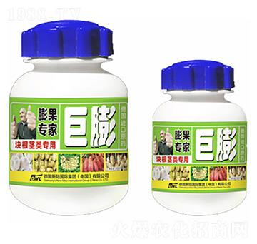 塊根莖專(zhuān)用-巨膨-德化
