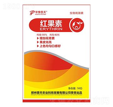 紅果素-普天農(nóng)業(yè)