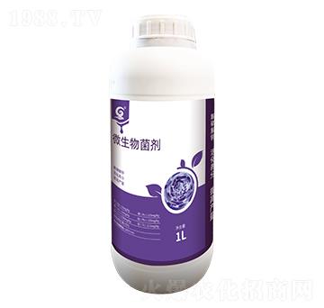 微生物菌劑-高欣生物
