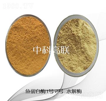 魚(yú)蛋白水解酶-中科高聯(lián)