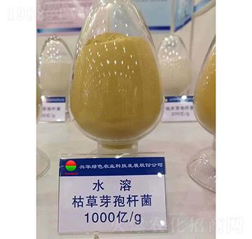 枯草芽孢桿菌-興華綠色