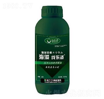 海藻線(xiàn)樂(lè)適-?？破? width=