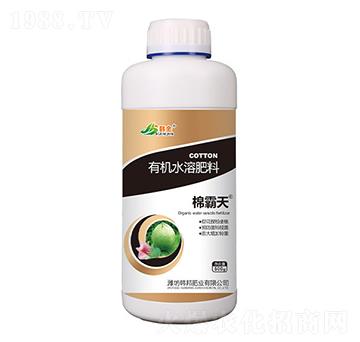 有機(jī)水溶肥料-棉霸天-韓金-韓邦肥業(yè)