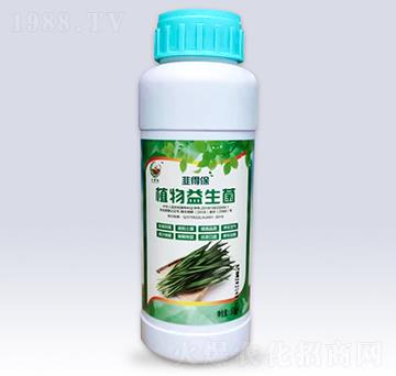 韭菜專用植物益生菌-文隆夢陽