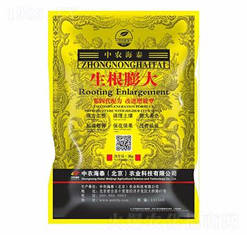 生根膨大-中農海泰