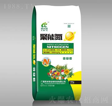 聚能氮-阿米特