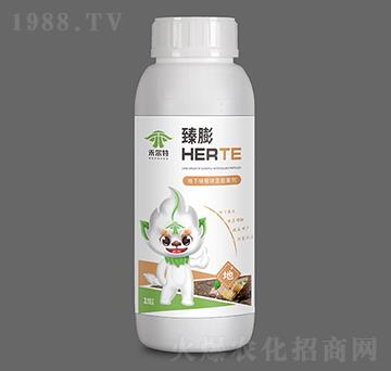 地下塊根塊莖膨果劑-臻膨-禾爾特