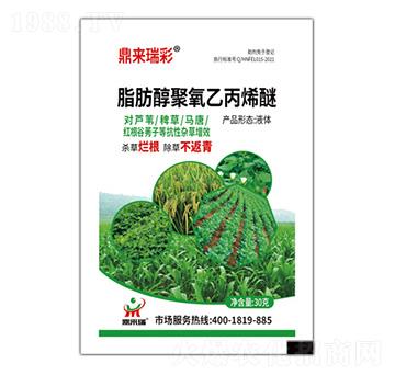 脂肪醇聚氧乙丙烯醚-鼎來(lái)瑞彩-鼎來(lái)瑞
