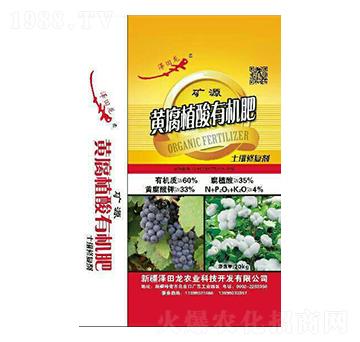 礦源黃腐植酸有機肥-澤田龍農業(yè)