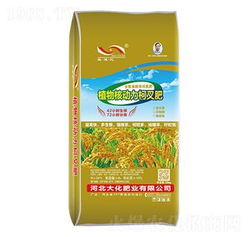 氨基植物核動力柯叉肥-大化肥業(yè)