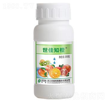 世佳知橙-世佳
