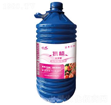 抗躰（膨果型）-堉園春-華晟豐源