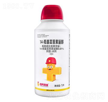 14-羥基蕓苔素甾醇-加號(hào)小紅帽