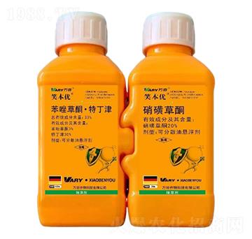 33%苯唑草酮·特丁津+20%硝磺草酮-笑本優(yōu)-萬(wàn)容