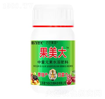 果美大-雷力佳化