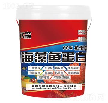 海藻魚蛋白-凱爾森-尚臻科技