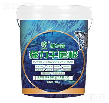強力千層根-凱爾森-尚臻科技